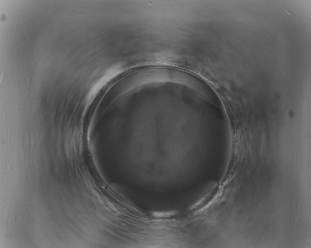 X0000088030200200705182034