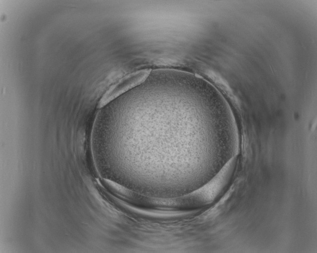 X0000088030201200705182034