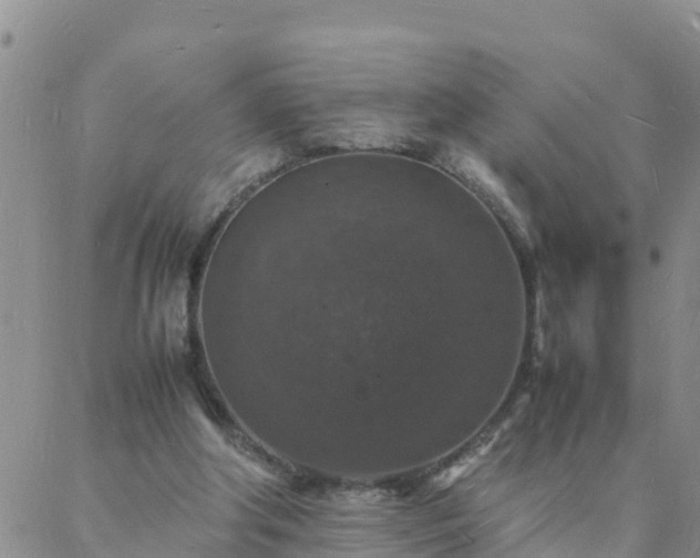 X0000088030202200705182034