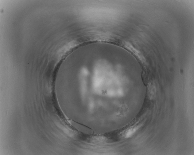 X0000088030203200705182034