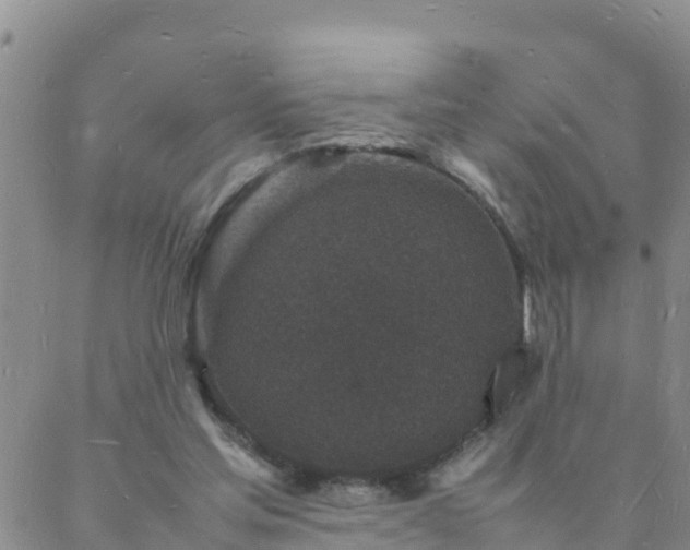 X0000088030205200705182034