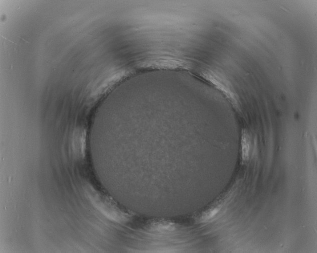 X0000088030206200705182034