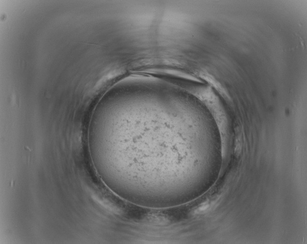 X0000088030207200705182034