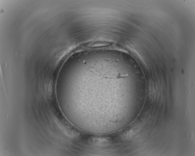 X0000088030208200705182034