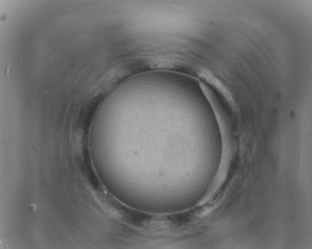 X0000088030209200705182034