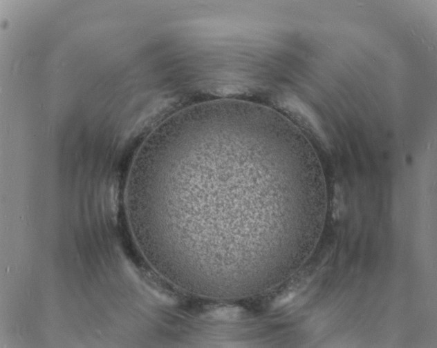 X0000088030210200705182034