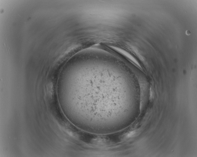 X0000088030211200705182033