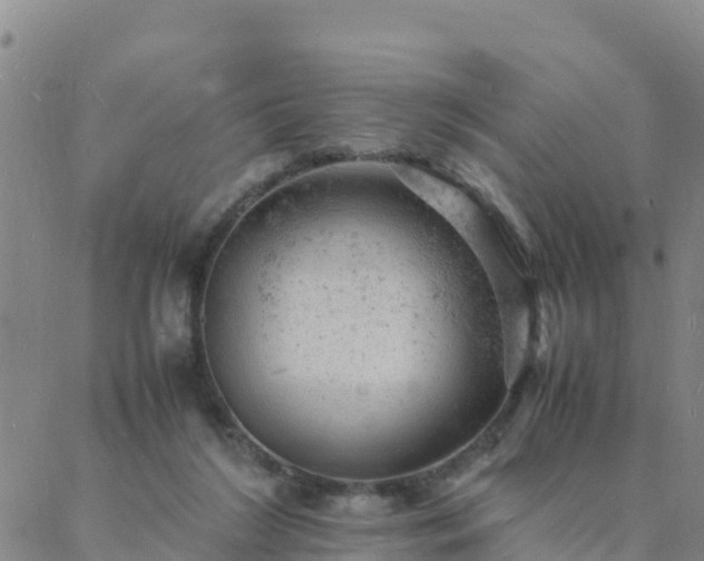 X0000088030212200705182033