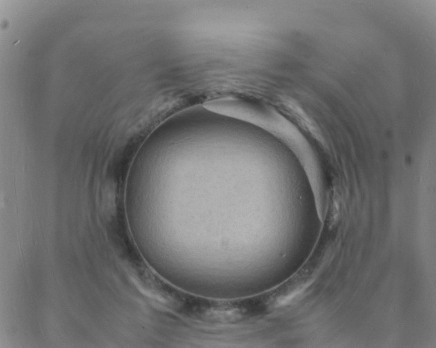 X0000088030213200705182033