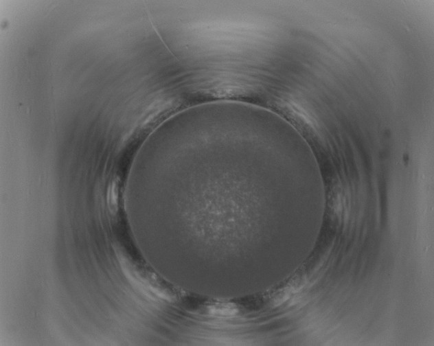 X0000088030214200705182033