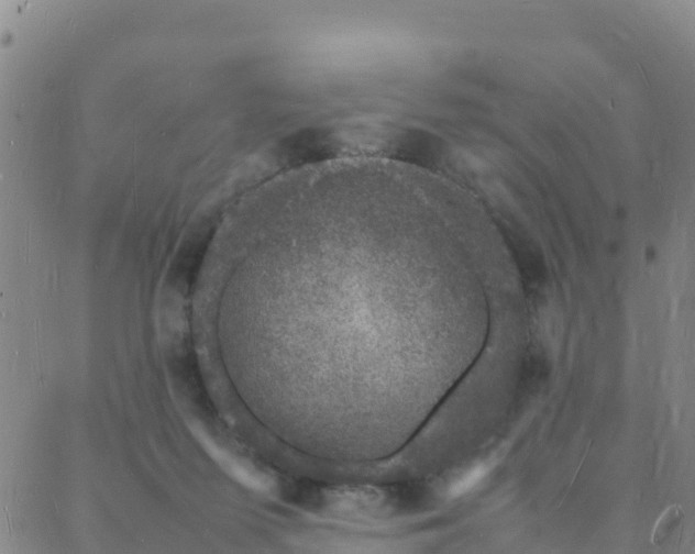 X0000088030215200705182033