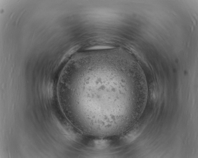 X0000088030216200705182033