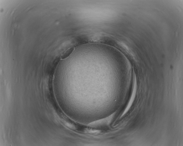 X0000088030217200705182033