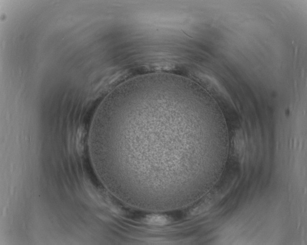 X0000088030218200705182033