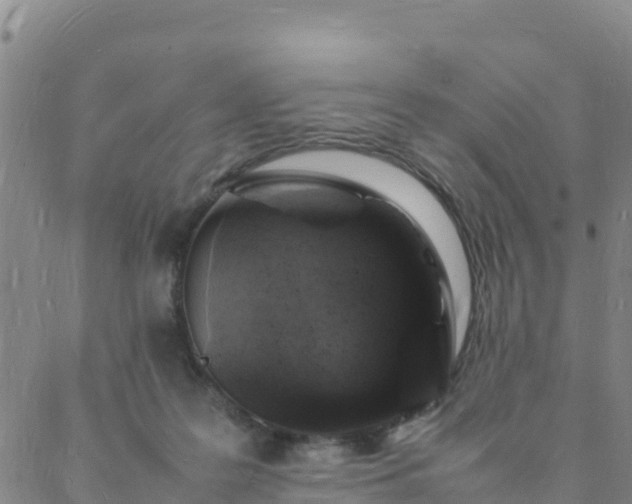 X0000088030219200705182033