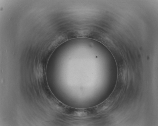 X0000088030220200705182033