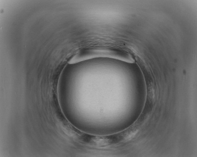 X0000088030221200705182033