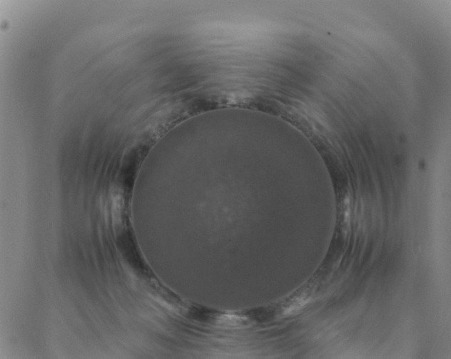 X0000088030222200705182033