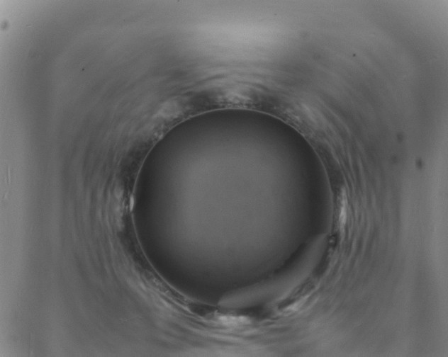 X0000088030223200705182033