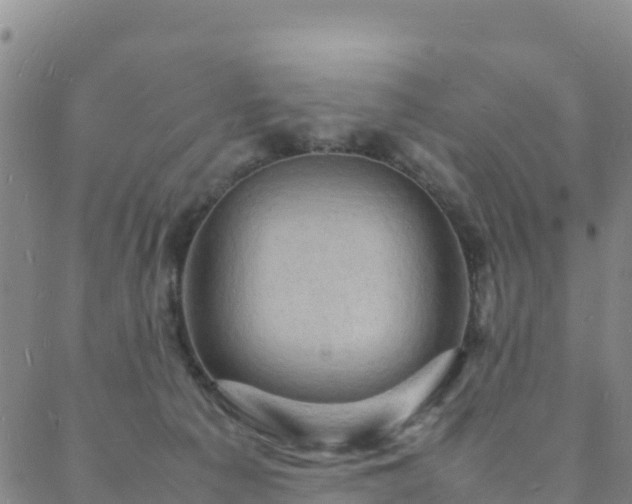 X0000088030225200705182033