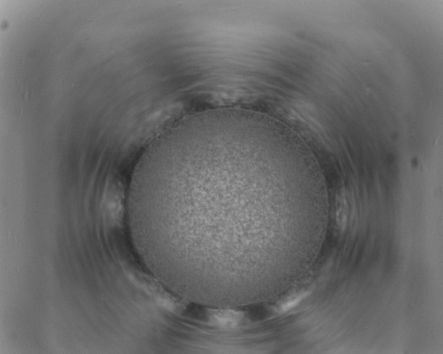 X0000088030226200705182033