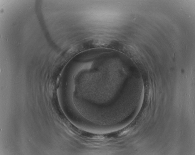 X0000088030227200705182033