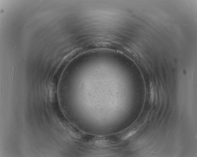 X0000088030228200705182033