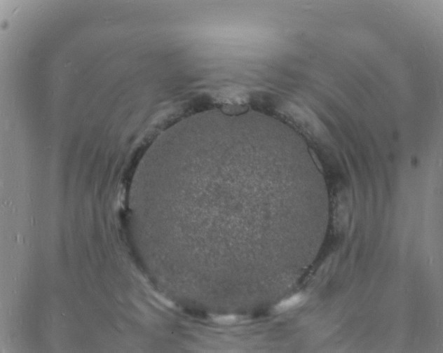 X0000088030229200705182033