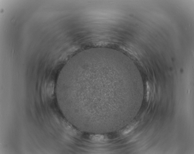 X0000088030230200705182033