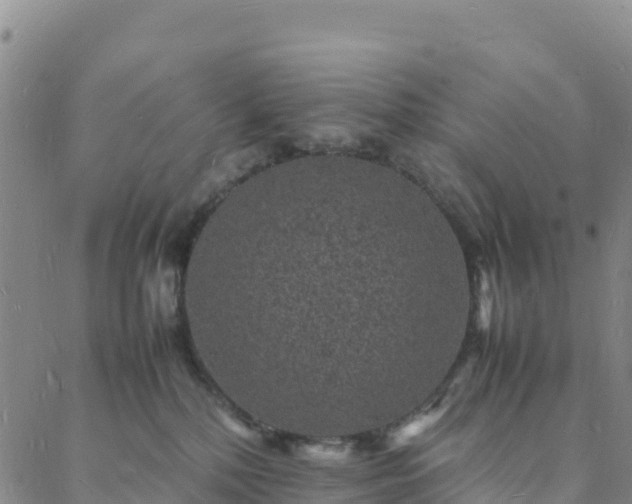 X0000088030232200705182033