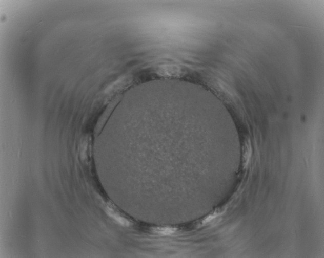 X0000088030233200705182033