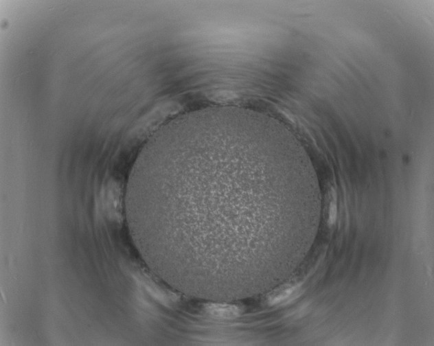 X0000088030234200705182033