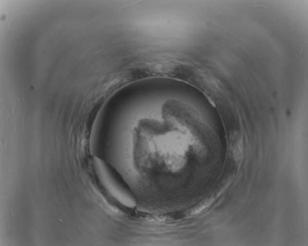 X0000088030235200705182033