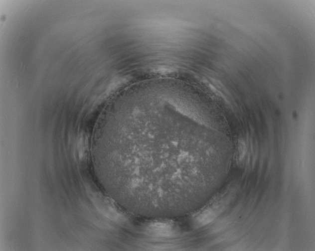 X0000088030236200705182033