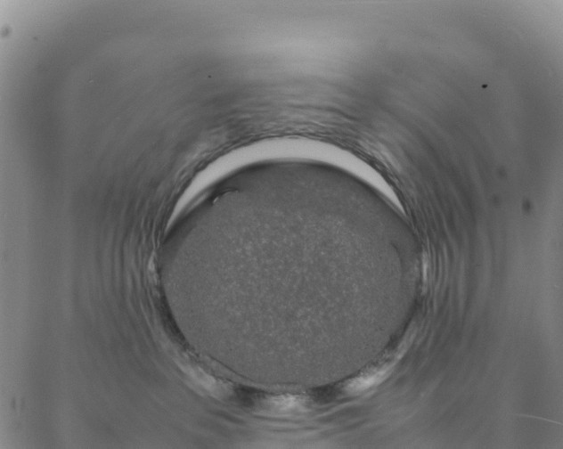 X0000088030237200705182033