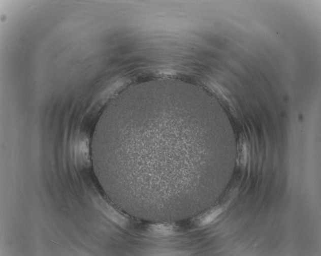 X0000088030238200705182033