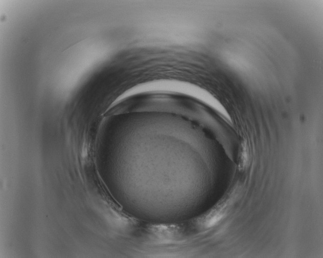 X0000088030239200705182033