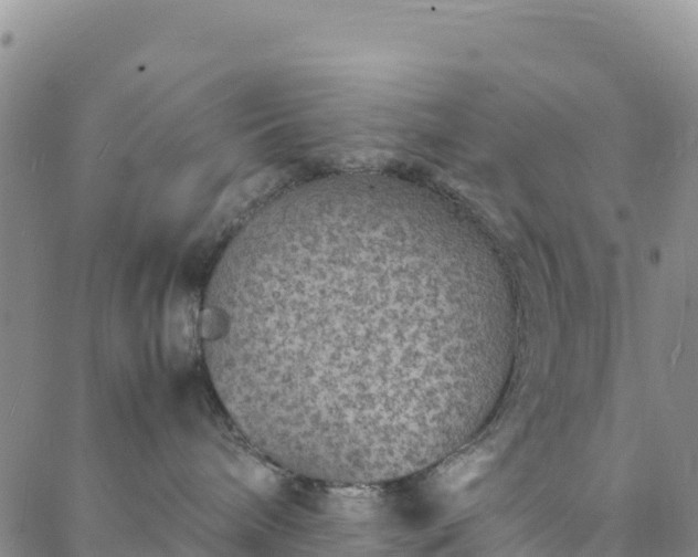 X0000088030240200705182033