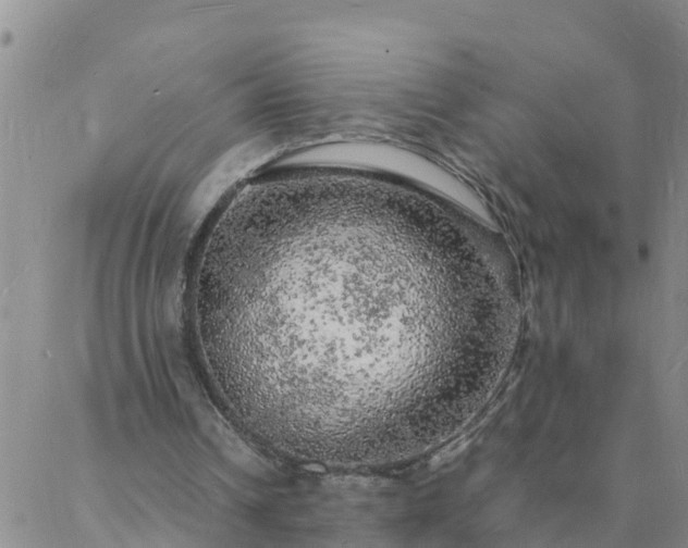 X0000088030242200705182032