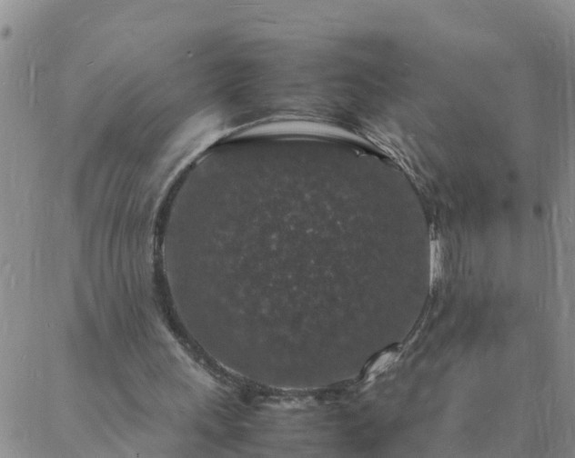 X0000088030243200705182032