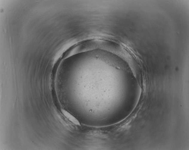 X0000088030244200705182032