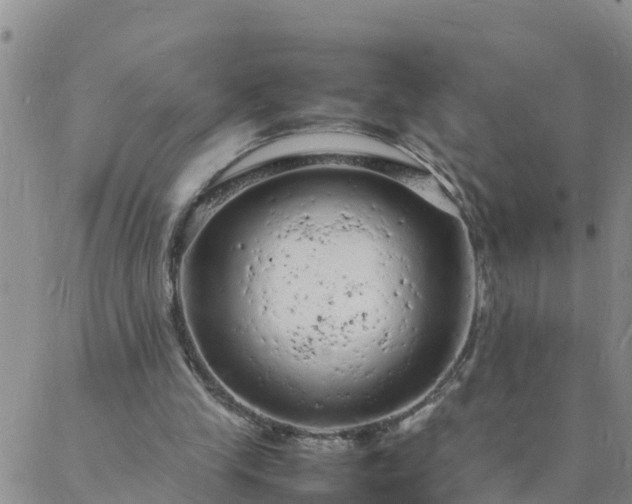 X0000088030245200705182032