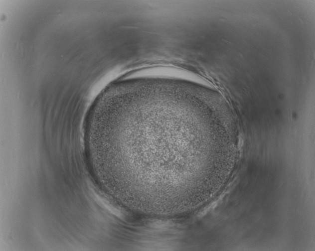 X0000088030246200705182032