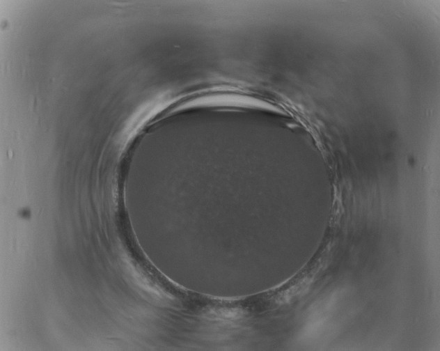 X0000088030247200705182032