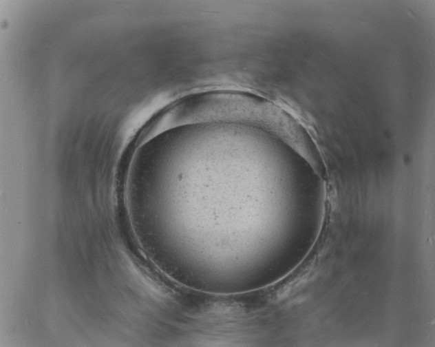 X0000088030248200705182032