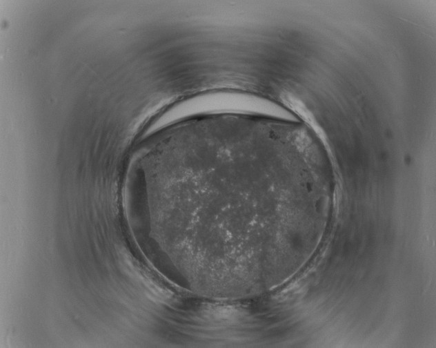 X0000088030249200705182032