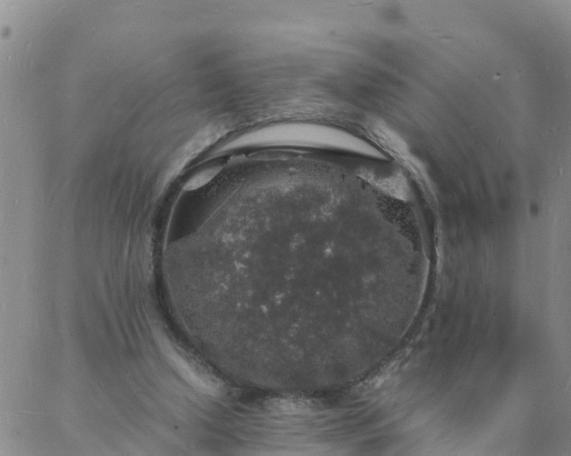 X0000088030250200705182032