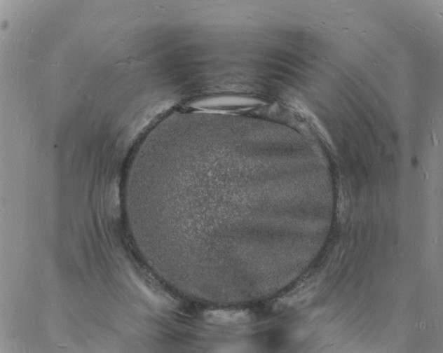 X0000088030251200705182032