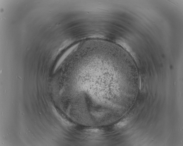 X0000088030253200705182032