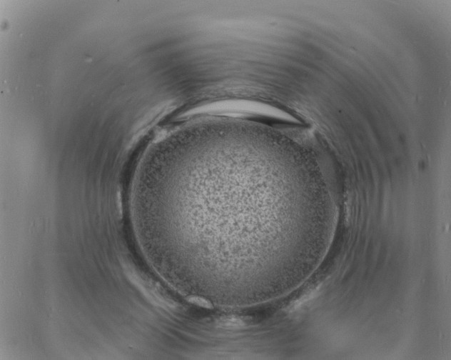 X0000088030254200705182032